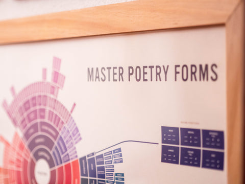 The Master Map - Professional Edition